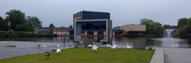 University of York Lake