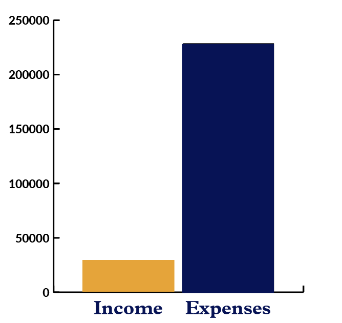 Bar graph showing Carpentries Income versus Expenses from Community Engagement, with expenses more than income