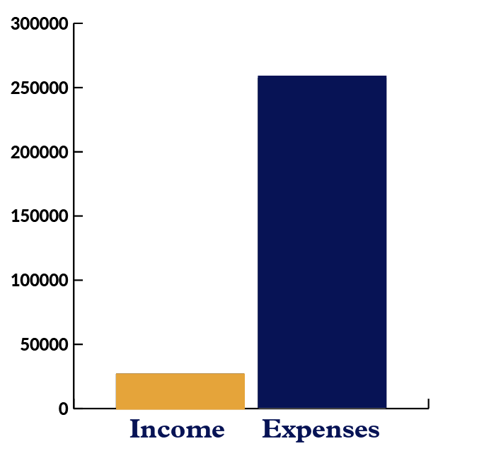 Bar graph showing Carpentries Income versus Expenses from Instructor Training with expenses more than income